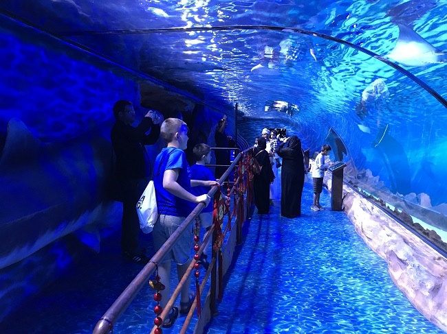 akwarium Dubaj centrum handlowe atrakcje dla dzieci opinie