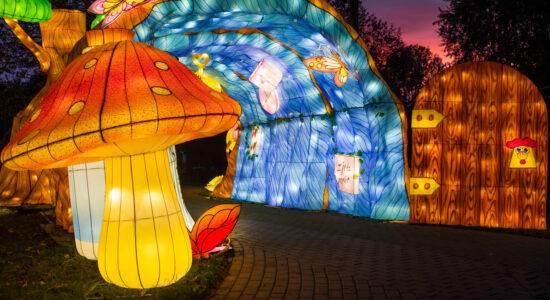 atrakcje dla dzieci Gdynia festiwal światła ogrody opinie
