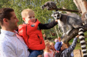 atrakcje dla dzieci dolina charlotty wodne zoo safari