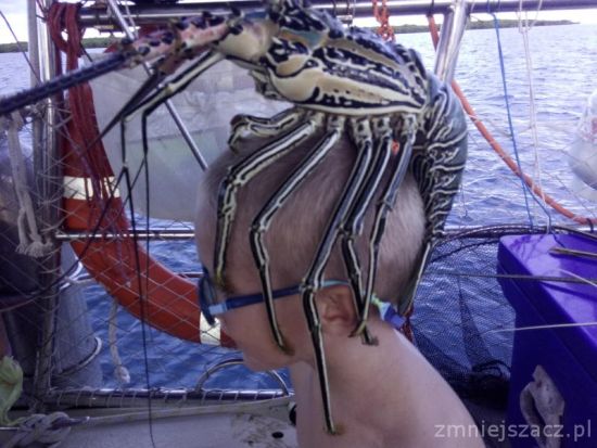 Czy jestem szybszy od kraba? Australia Australia rodzinne atrakcje