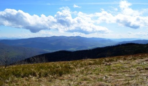 Bieszczady atrakcje dla dzieci