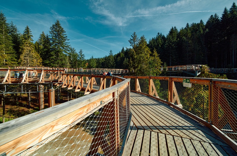 Brama w Gorce (Podhale) – ścieżka w koronach drzew i znacznie więcej atrakcji brama w gorce atrakcje dla dzieci ścieżka w koronach drzew z dziećmi opinie informacje praktyczne