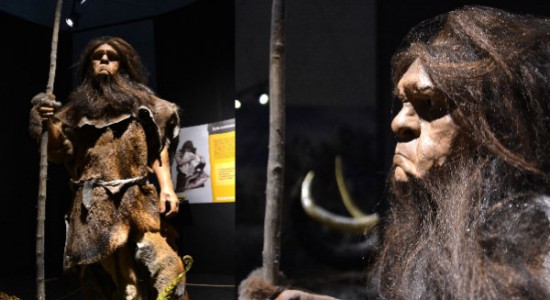rodzinne atrakcje centrum neandertalczyka