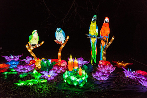 warszawa chiński festiwal światła atrakcje papugi ceny godziny termin