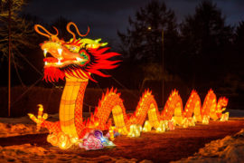 chiński festiwal światła atrakcje smok