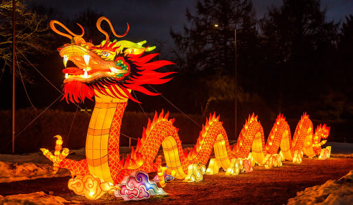 chiński festiwal światła atrakcje smok