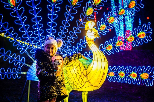 chorzów ogrody światła Legendia opinie atrakcje bilety ceny (5)