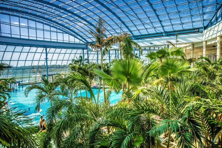 Egzotyczne ferie w centrum Polski ! Zaplanuj pływanie pod palmami 🌴😎
