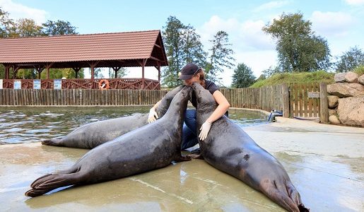 rodzinne atrakcje dla dzieci fokarium opinie ceny