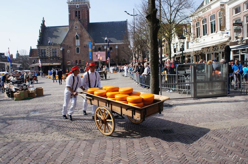giełda serów ALKMAAR Holandia