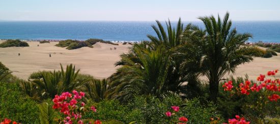 Gran Canaria rodzinne atrakcje