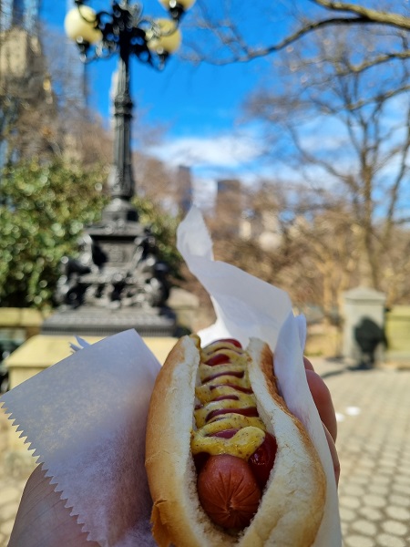 hot dog New York dirty water Central Park atrakcje