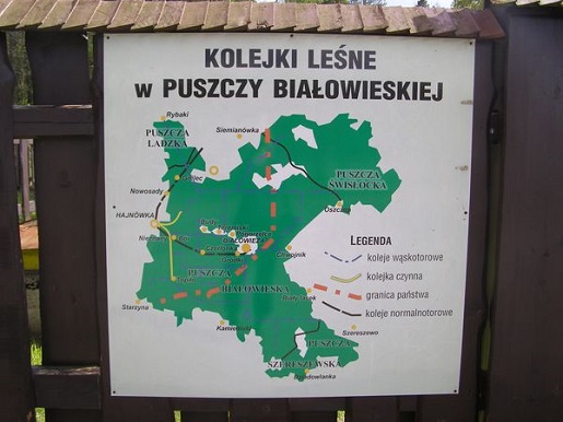rodzinne atrakcje dla dzieci puszcza białowieska kolejki leśne ceny opinie