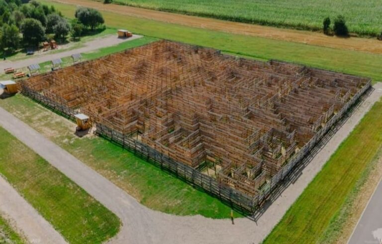 Labirynt w Lipsku –  atrakcja dla małych i dużych