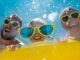 najlepsze kempingi dla rodzin z dziećmi w Europie z basenami Włochy Chorwacja opinie ranking