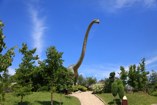 najlepsze parki dinozaurów dinolandia inwałd park opinie atrakcje ceny