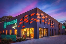 oceanarium miedzyzdroje atrakcje dla dzieci rodzinne 2