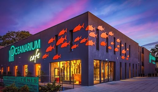 oceanarium miedzyzdroje atrakcje dla dzieci rodzinne 2