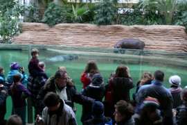 ZOO Warszawa rodzinne atrakcje