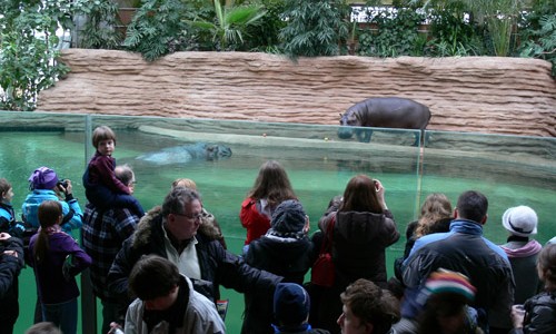 ZOO Warszawa rodzinne atrakcje