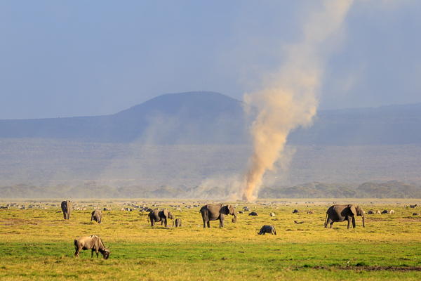 opinie wycieczka na Safari Kenia bezpieczeństwo praktyczne porady