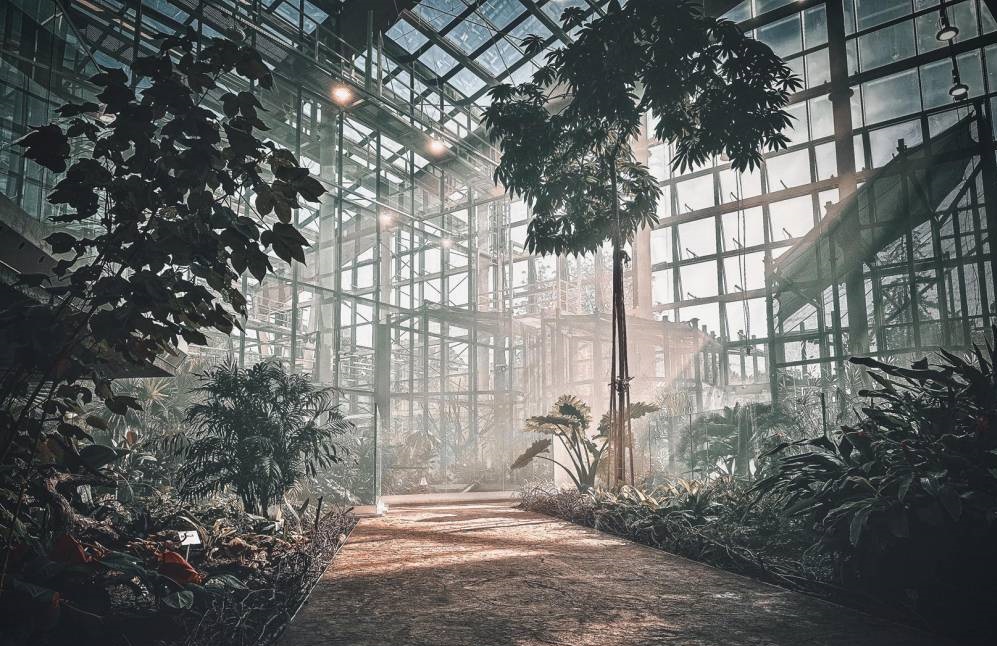 Egzotarium w Sosnowiec-to nie tylko palmiarnia! palmiarnia Sosnowiec egzotarium opinie atrakcje dla dziecie