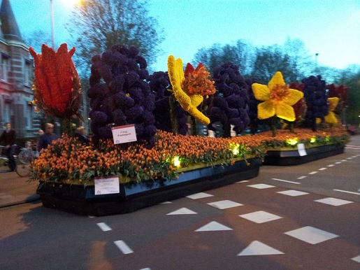 parada kwiatów Keukenhof Holandia trasy ceny opinie