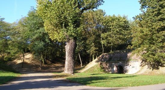 Cytadela Poznań rodzinne atrakcje