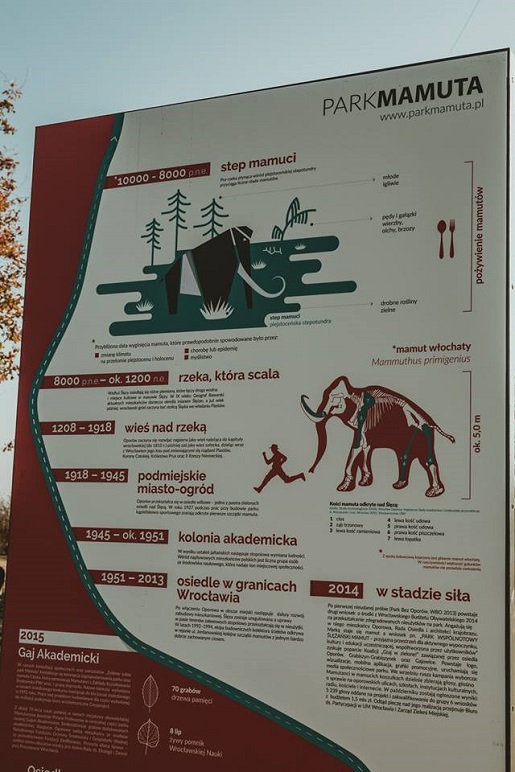 park mamuta atrakcje dla dzieci wrocław opinie