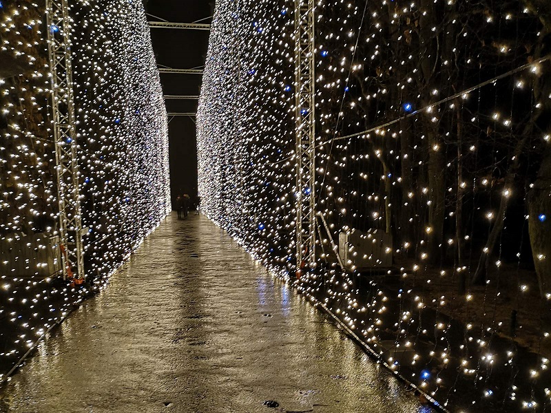 park oliwski iluminacje świąteczne 2021 kiedy godziny otwarcia plan