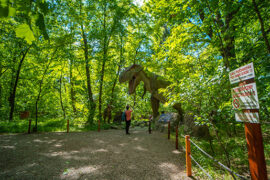 park rozrywki zatorland atrakcje dla dzieci main