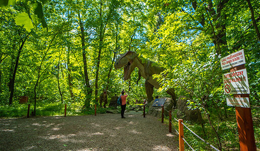 park rozrywki zatorland atrakcje dla dzieci main