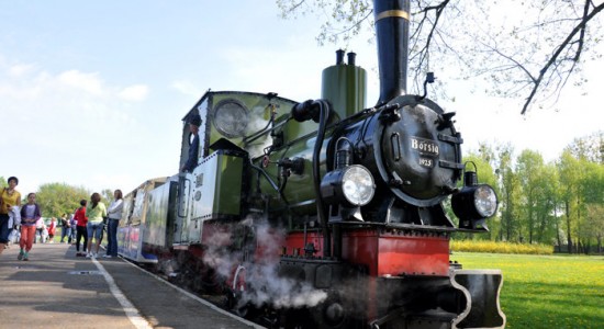 wąskotorówka Poznań rodzinne atrakcje