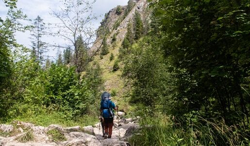 pieniny powsinogi z bloga wziete 1