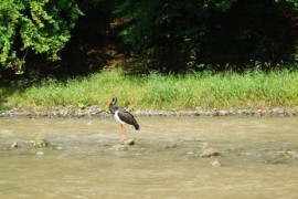 rodzinne atrakcje Pieniny