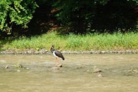 rodzinne atrakcje Pieniny