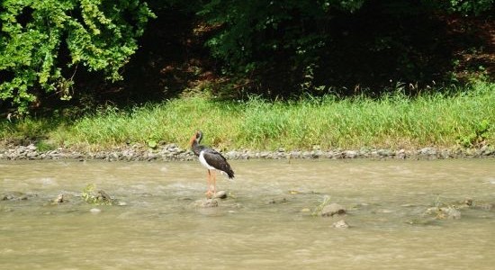 rodzinne atrakcje Pieniny