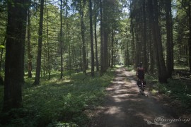 Podlasie rodzinne atrakcje