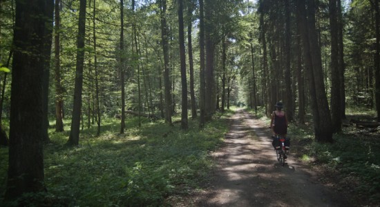 Podlasie rodzinne atrakcje