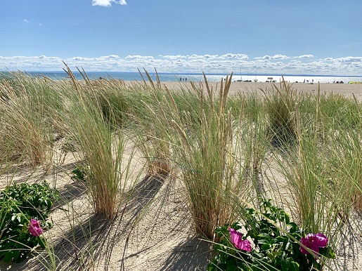 Nieznane atrakcje i miejsca – Półwysep Helski i okolice polwysep helski okolice malo znane atrakcje
