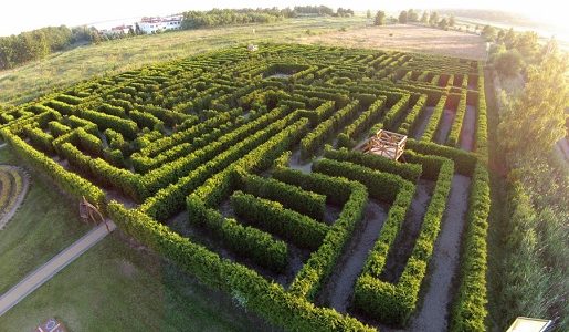ŁEBA LABIRYNT PARK opinie Ceny Godziny otwarcia