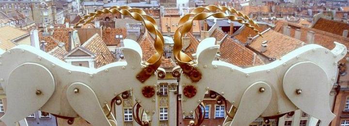 Poznań z dzieckiem? TAK! Sprawdź najlepsze atrakcje!