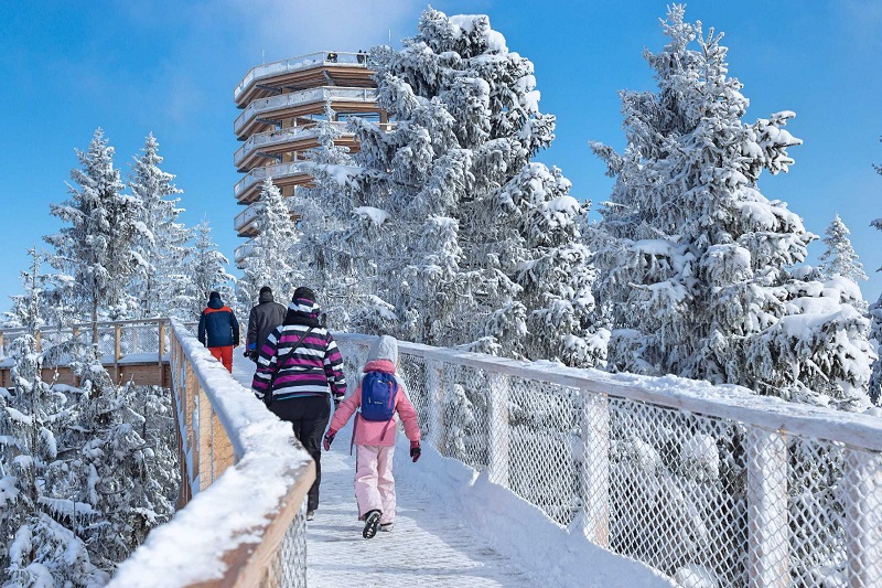 ścieżka w koronach drzew taras widokowy Bachledka Słowacja Tatry narty atrakcje z dzieckiem opinie