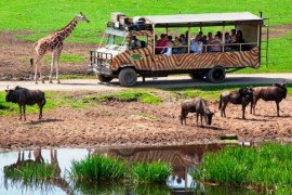 Serengeti Park atrakcje dla dzieci