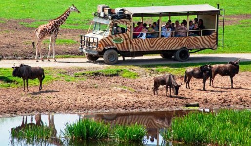 Serengeti Park atrakcje dla dzieci