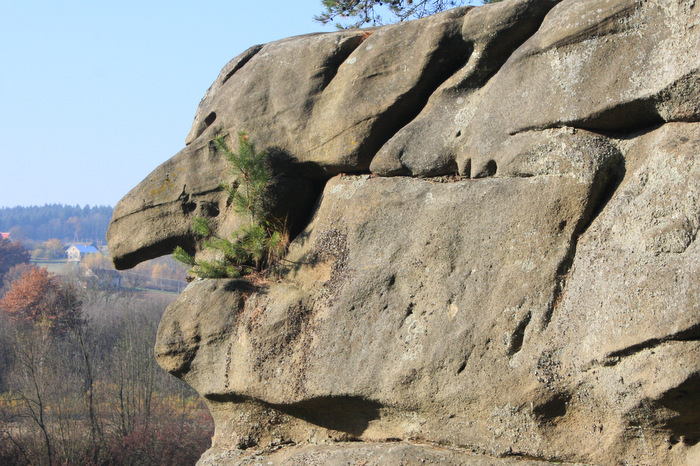 Skamieniałe Miasto Ciężkowice Rezerwat Skamieniałe Miasto