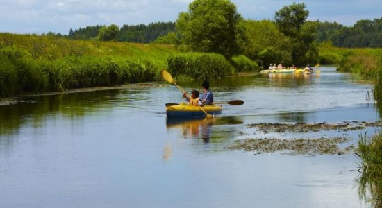 spływ kajakowy Odra atrakcje dla dzieci