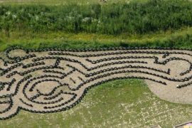 rodzinne atrakcje Świat Labiryntów Bliziny