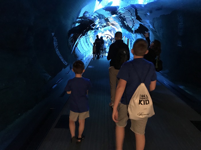 tunel akwarium dubai mall oceanarium opinie największe akwarium na świecie