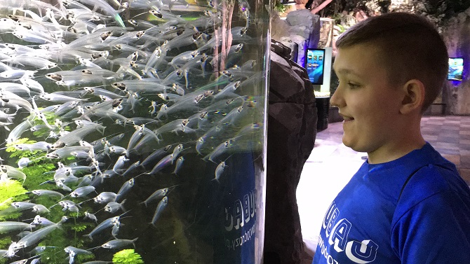 underwater zoo dubai - podwodne zoo w dubaju opinie atrakcje dla dzieci the mall